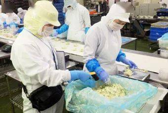 东京食品厂爆发78人集中感染, 我们的食品可以放心